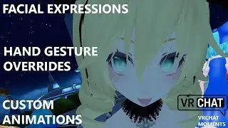 VRChat Tutorial - Facial Expressions; Hand gesture animation overrides; custom emotes