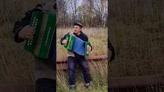 Сердце Замирает От Восторга!! Где ж ты одинокая гармонь !