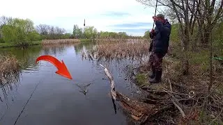 Ловля КАРАСЯ на поплавок. Перловка, червь, мотыль или опарыш. Очень красивое место.