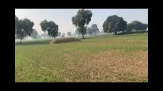 GANDUM KI FASAL / MY SECOND VLOG ON YOUTUBE / MEGA Legend