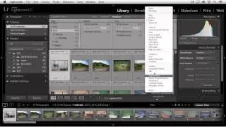 Lightroom CC - Using Filters to Quickly Find Photos | Adobe Lightroom