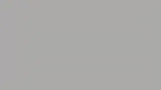 WHITE FLASH FLICKERING OVERLAY