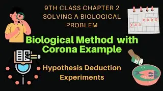 Biological Method steps with Corona Example