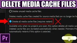 How to DELETE MEDIA CACHE FILES in Premiere Pro