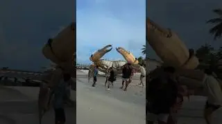 Giant Crab Attacks