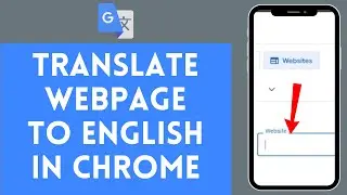 How to Translate Webpage to English in Chrome (2024)