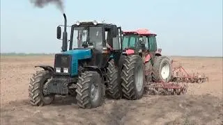 День работников сельского хозяйства