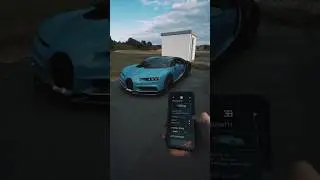 blender vs aftereffect 