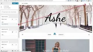 (Old) How to Setup Social Icons in the Ashe Free Wordpress Theme