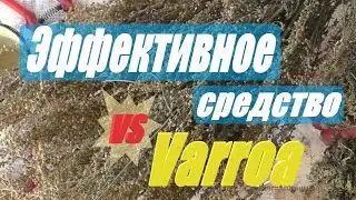 Эффективное средство от клеща Варроа