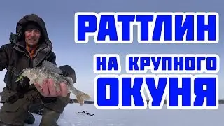ЛОВИМ ОКУНЯ на раттлины и не только