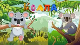 0+Коала. Почемучка. Детская энциклопедия.