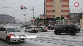 Многодетные семьи, воспитывающие родных и приемных детей, не будут платить транспортный налог