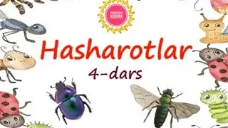 3-SINF, TABIIY FAN: HASHAROTLAR (4-DARS)