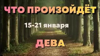 ДЕВА 🍀Таро прогноз на неделю (15-21 января 2024). Расклад от ТАТЬЯНЫ КЛЕВЕР.