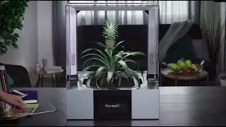 Plantee Explainer