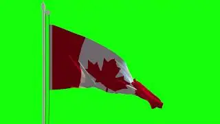 Green Screen | Chroma Key |  canada flag is fluttering on green background green screen | 4K | HD