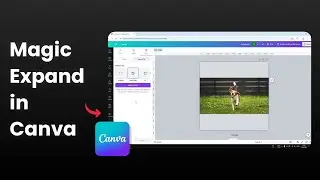How to Use Magic Expand in Canva