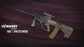 CS:GO | AUG - Spalted Wood