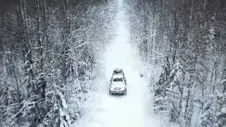 СКАЗОЧНЫЙ ЗИМНИЙ ЛЕС,КОРОТКАЯ РЫБАЛКА В ВОЛОГОДСКОЙ