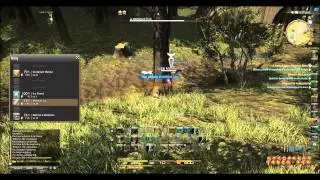 Final Fantasy XIV Online - Walnut log Farming Guide