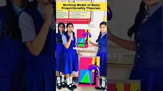 Thales Theorem | Basic Proportionality Theorem | Class 10 Maths Working Model 