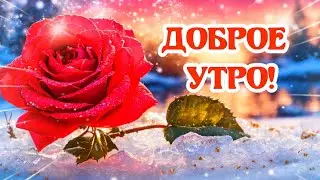 ДОБРОЕ УТРО! 💖ОТЛИЧНОГО ДНЯ!💖 ПУСТЬ БУДЕТ ЧУДЕСНО,💖 ВСЁ У ТЕБЯ!🌹🌹🌹