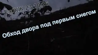 ЁжЖЖ 23.10.26 Обход двора под первым снегом