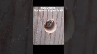 How Good Is The Warrior Impact Drill? #harborfreighttools #warrior #toolreview