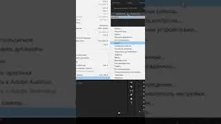 Основные фишки Premiere Pro