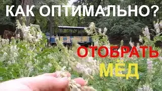 Качаем мёд/КАК оптимально отбирать соты?/Ганемановка