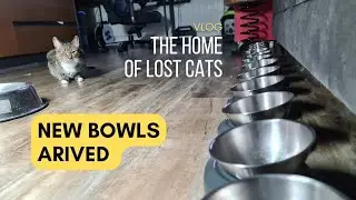 It took me some time to find a really good cat bowls