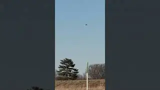 Extreme Winds Stop Bird in Flight 😂