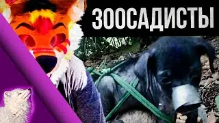 Фурри-хунта будет повержена