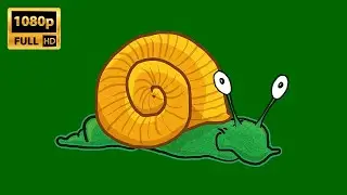 Snail Cartoon Animated | Green Screen