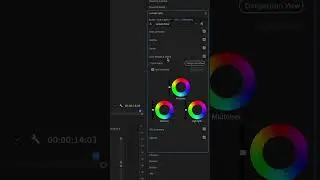 Copy any color grade in Premiere Pro