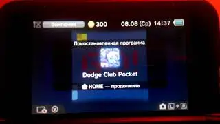 Оскорбление Чувств Эпилептиков на 3DS