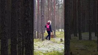 Они СО ВСЕХ сторон КРАСАВЦЫ! Нас ВЗЯЛИ в ПЛЕН и НЕ ВЫПУСКАЮТ из ЛЕСА! Мы В ШОКЕ! Сказочная Карелия