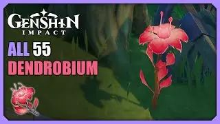 ALL 55 Dendrobium Locations | Efficient Farming Route | Genshin Impact