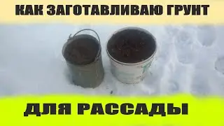 Земля для рассады.Как заготовить грунт для рассады своими руками с осени