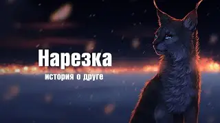 История о друге!