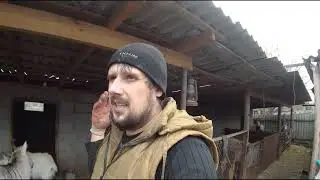 Обычный день в селе. Сельская жизнь.