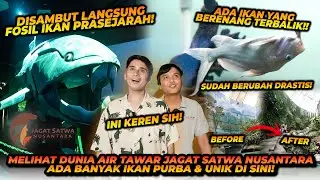 BANYAK IKAN-IKAN PURBA DI AQUARIUM INI ! ADA IKAN YANG RENANG NYA TERBALIK ?! SISIK IKAN SEKUAT BESI