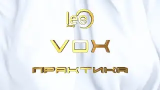 Вебинар VOX 