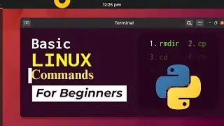 Basic Linux Commands for Beginners
