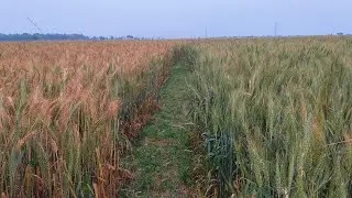 Vlog Farming 🧺 vlog day,vlog life,women vlog 