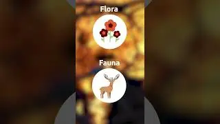 ¿Qué es un INCENDIO FORESTAL? 🔥