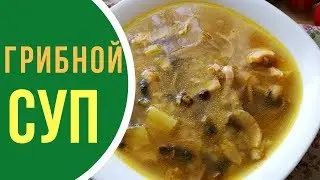 Mushroom soup with fresh mushrooms