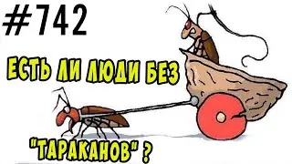 Есть ли люди без психотравм (без тараканов) ? #психология