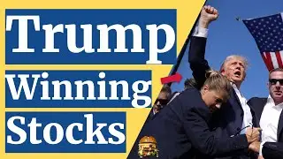 TRUMP WON. Which Stocks Will Go Up?